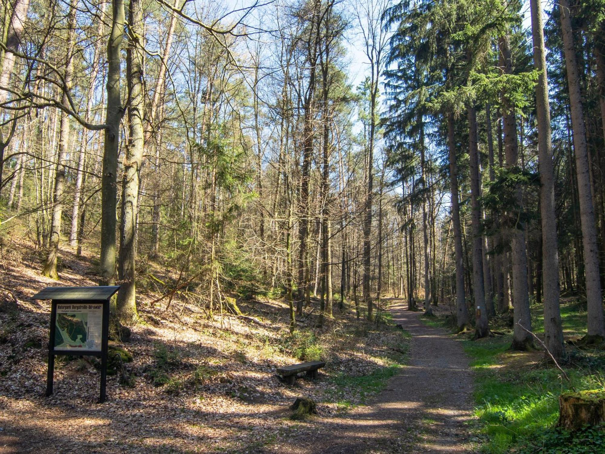 Apartment In The Odenwald With Terrace Mossautal Extérieur photo
